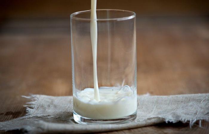 Leches de soja, avena, almendras…: la OMS alerta del riesgo de beber bebidas vegetales en lugar de leche