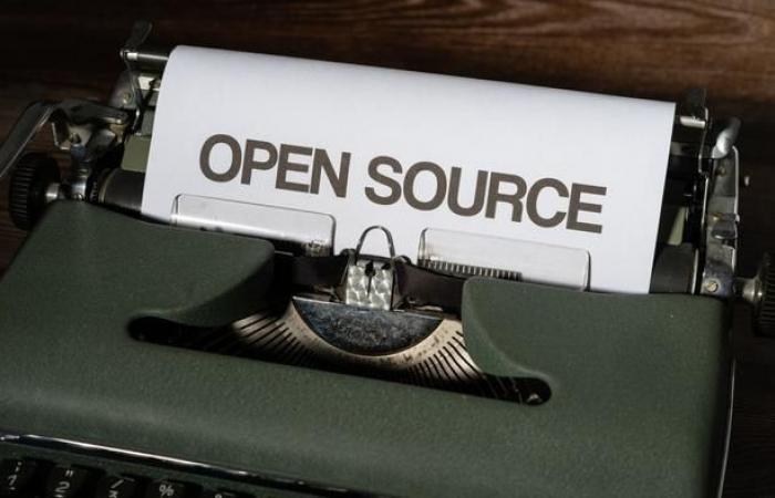 GenAI: la personalización impulsa el uso de modelos de código abierto