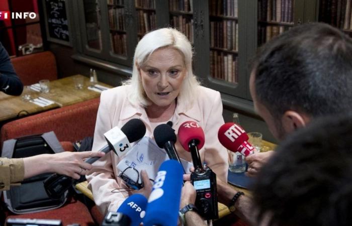 ¿Quién es este otro Le Pen que se postula para un escaño en la Asamblea Nacional?