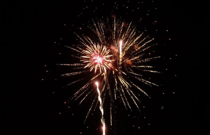 14 de julio: fuegos artificiales y bailes populares el 13 de julio de 2024 en Issy-les-Moulineaux (92)