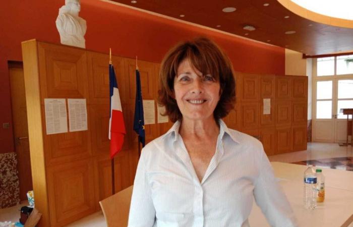 Elecciones legislativas en Sarthe. 4.ª circunscripción: Sylvie Caseneve-Péré pide a Elise Leboucher que se retire