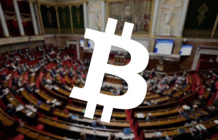 Los resultados de la candidatura Bitcoin de Aurore Galves van “más allá de las expectativas”
