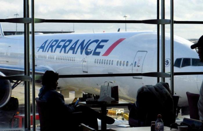 Air France espera una caída de ingresos este verano