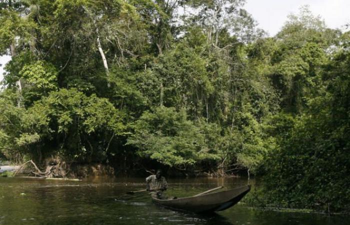 En Costa de Marfil, un accidente industrial hace temer una contaminación a gran escala de los ríos con cianuro