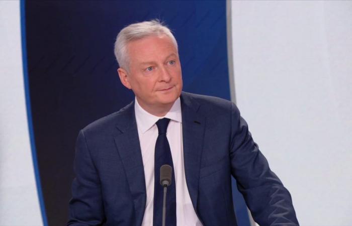 “Circunspecto” sobre la suspensión del texto, Le Maire pide “continuar la reforma”