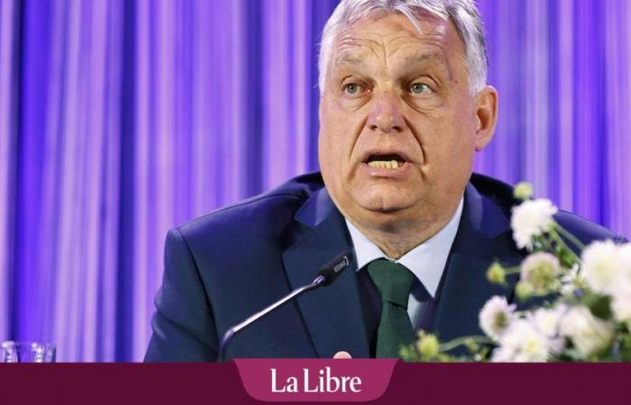 Orban crea su alianza euroescéptica: “Los europeos han obtenido la guerra, la migración y el estancamiento de la actual élite de Bruselas”