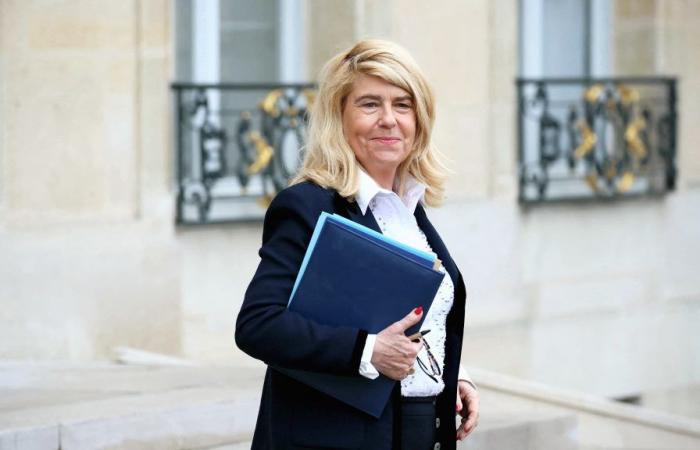 El ministro Dominique Faure permanece en un conjunto triangular PS-RN