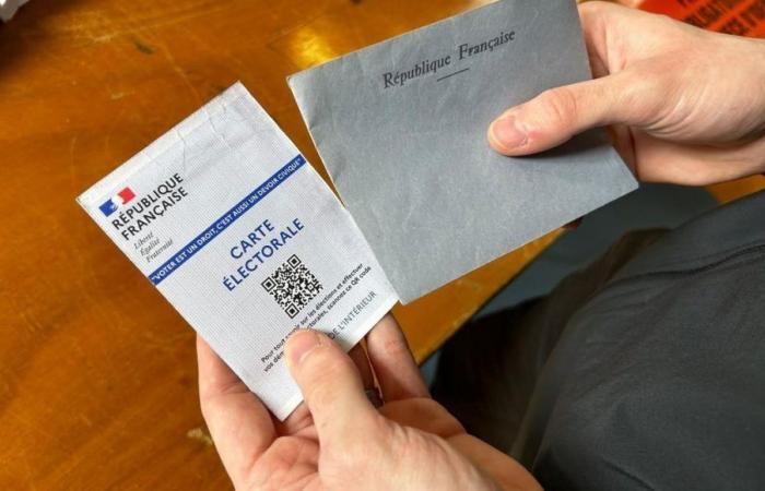 Elecciones legislativas 2024: en la primera circunscripción de Vienne, la candidata de Horizons, Séverine Saint-Pé, mantiene su cargo