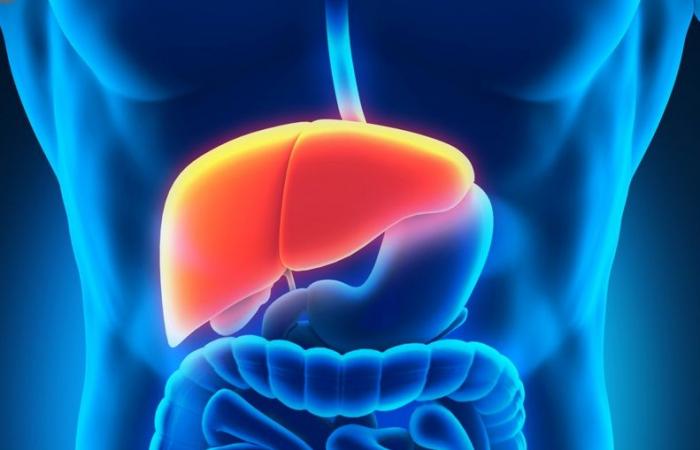Un gran paso adelante para la salud del hígado