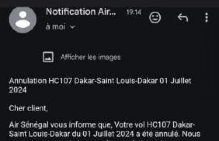 ¡Sin precedentes! Air Senegal cancela su vuelo y ofrece un autobús a sus clientes