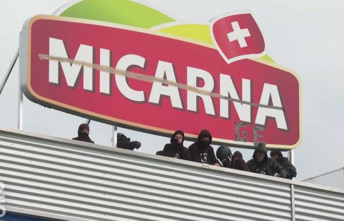 La policía interviene en el matadero de Micarna en Courtepin bloqueado por antiespeciesistas – rts.ch