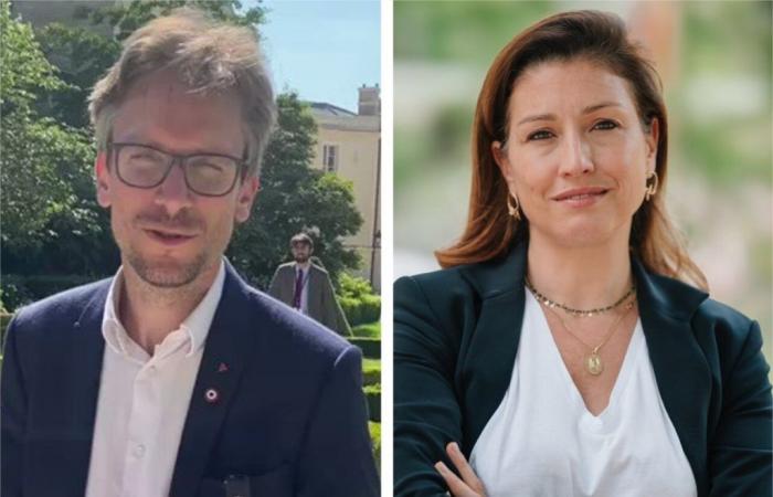 Elecciones legislativas de 2024 en Val-d’Oise: duelo LFI-RN ​​​​en la novena circunscripción