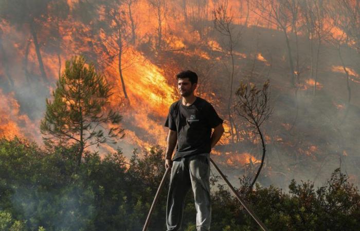 Grecia: la región de Atenas presa de dos grandes incendios