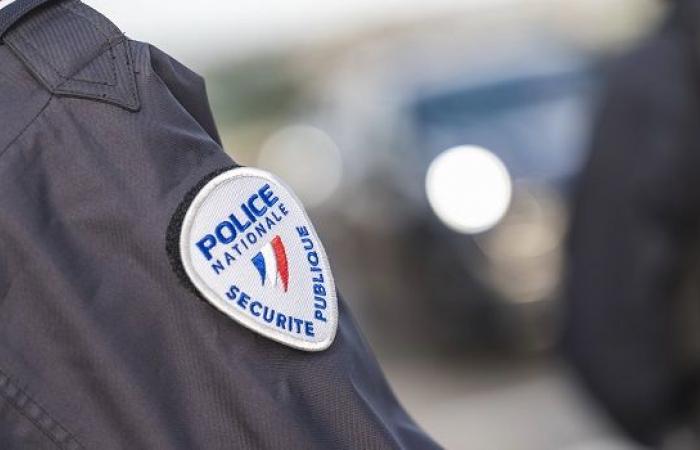 Seine-Saint-Denis: un policía fuera de servicio mata a un okupa con su arma reglamentaria – LINFO.re