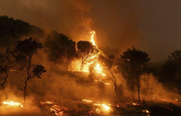 Dos incendios forestales arrasan el noroeste de Grecia