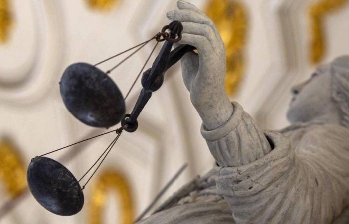 En Saint-Brieuc, batalla de expertos en el juicio de un hombre juzgado por la violación y el asesinato de una mujer