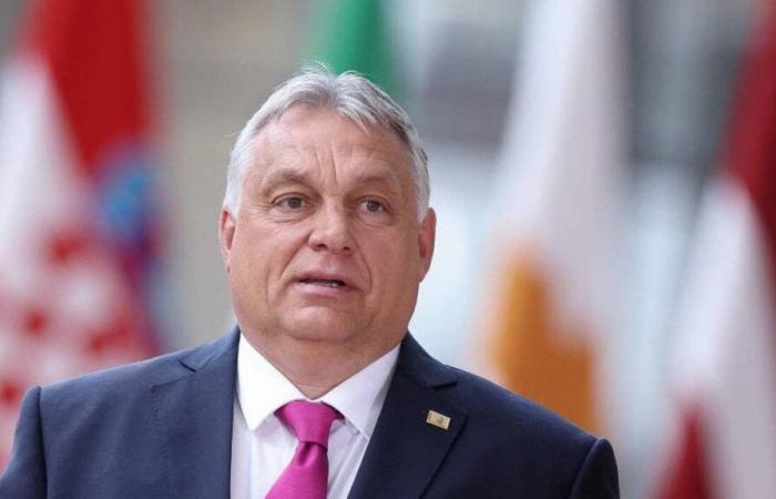 Hungría asume el lunes la presidencia rotatoria del Consejo de la UE: ¿qué debemos esperar?