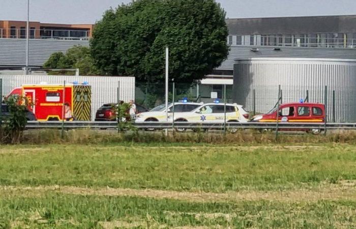 Bebé de 5 meses murió olvidado en un coche en Toulouse: se abre una investigación por “homicidio involuntario”
