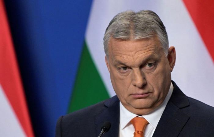 Cuando el auge del RN en Francia da alas a los sueños políticos de Viktor Orban