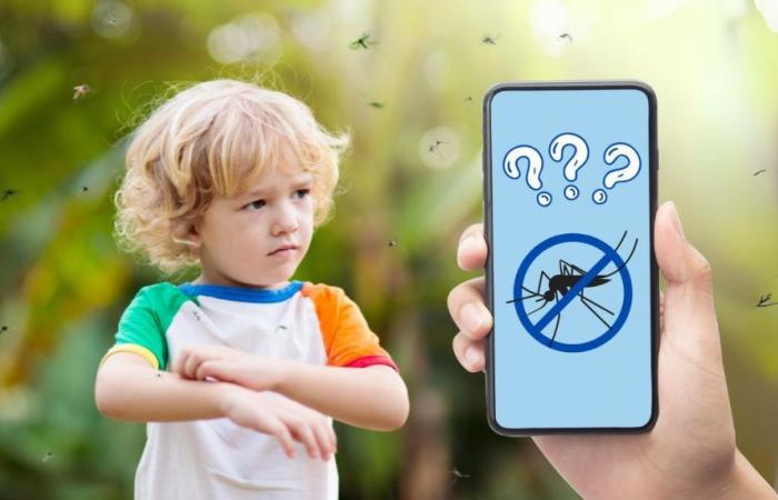 ¿Deberías descargar aplicaciones “repelentes de mosquitos” este verano?