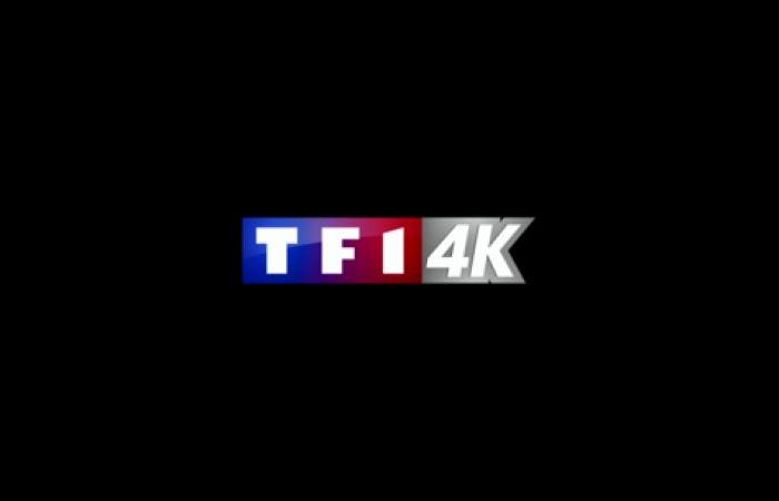 TF1 anuncia una cantidad récord de contenido nuevo 4K que estará disponible en Freebox Mini 4K, Pop, One, Delta y Ultra