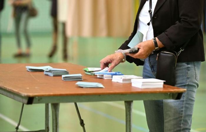 Primera vuelta de las elecciones legislativas de 2024: descubra al principal candidato en Saint-Pantaléon-de-Larche