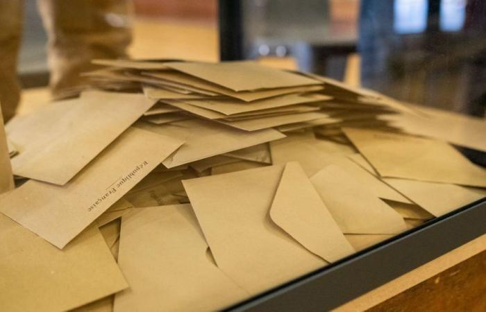 Elecciones legislativas 2024: los resultados de la 1.ª vuelta en Aveyron