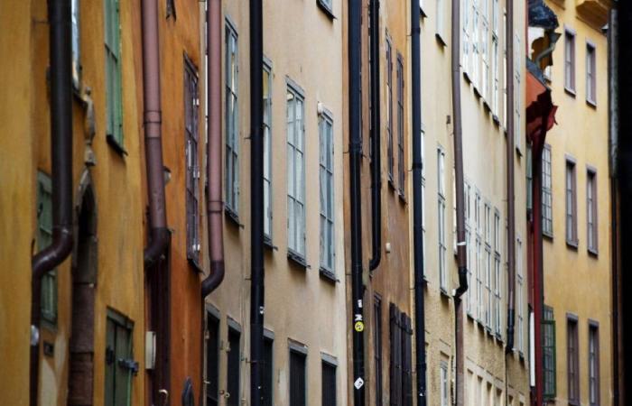 Inmobiliaria: los terrenos a 10 céntimos el metro cuadrado provocan frenesí en Suecia – 07/01/2024 a las 13:40 horas