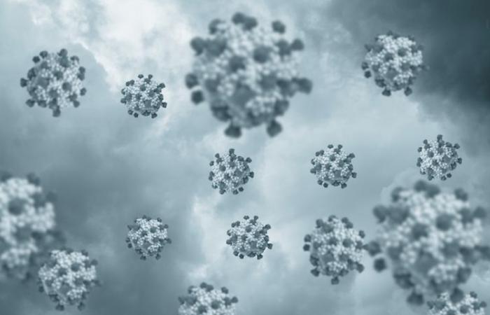 Cientos de personas infectadas por norovirus en la región del Lago de Garda