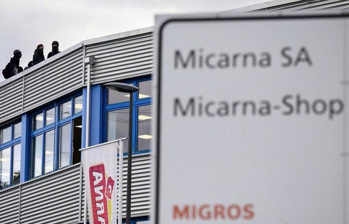 Courtepin: unos setenta antiespecistas evacuados de la fábrica de Micarna