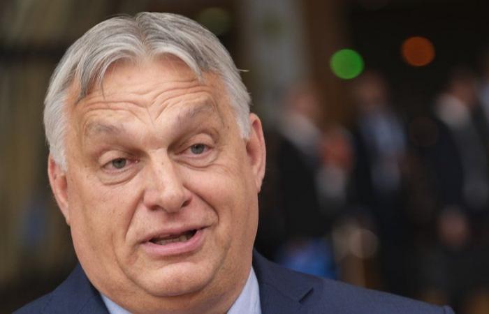 Parlamento Europeo: la extrema derecha forma una alianza europea con el húngaro Viktor Orban