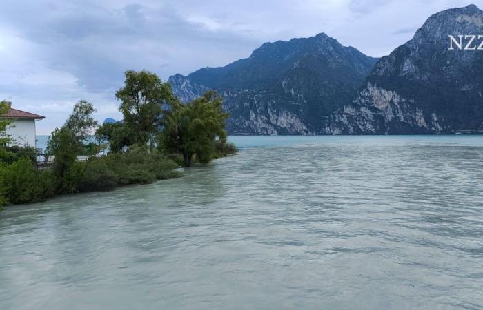 Italia: Brote de norovirus en el lago de Garda: 300 personas hospitalizadas