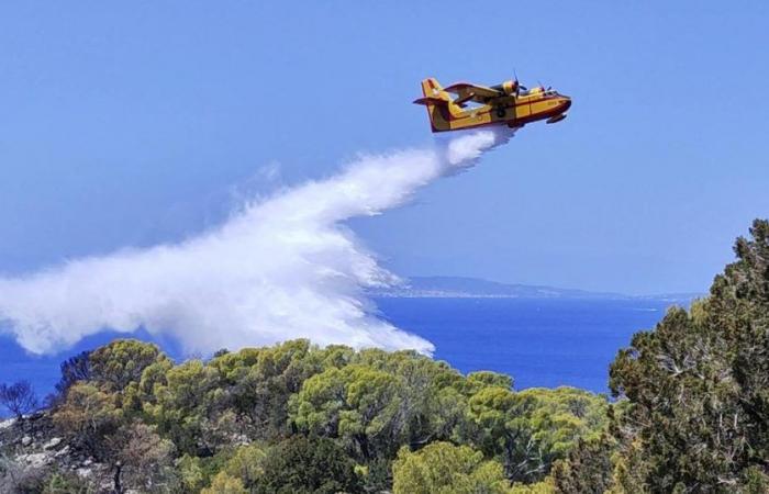 Dos grandes incendios cerca de Atenas anuncian un verano difícil