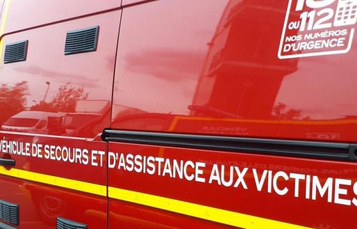 Sena y Marne: tres muertos en el accidente de un avión de pasajeros, la A4 cortada en ambos sentidos