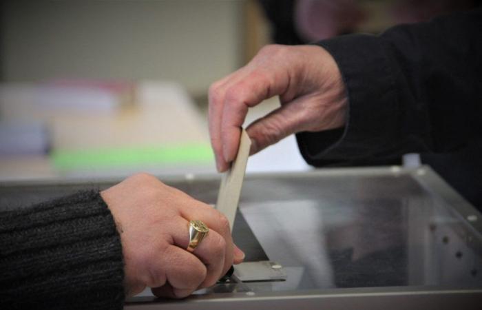 Elecciones legislativas de 2024 en Loiret: encuentre los resultados finales en cada circunscripción