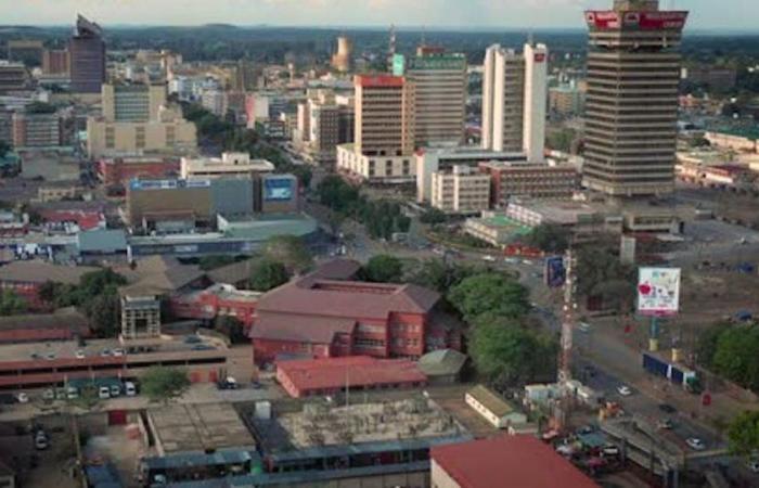 El FMI aprueba un préstamo de 570 millones de dólares para Zambia