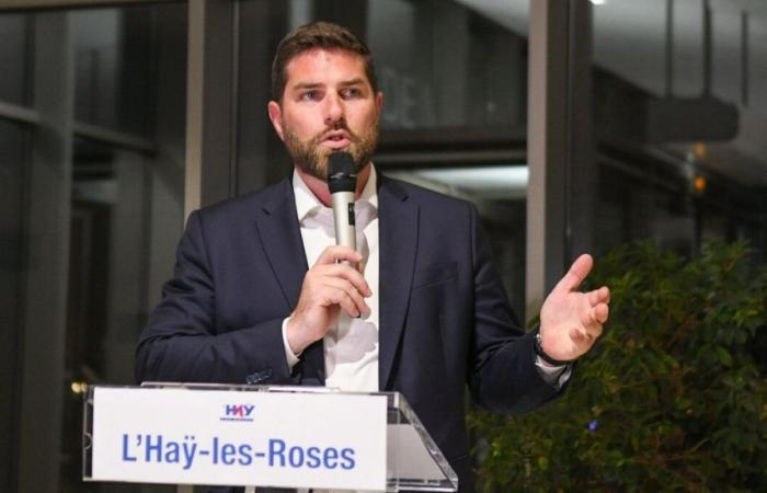 Elecciones legislativas en Val-de-Marne: Vincent Jeanbrun se prepara para enfrentarse a Rachel Keke en la séptima circunscripción