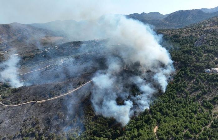 Incendios forestales | Mientras las islas griegas arden, Atenas advierte que el verano será “peligroso”