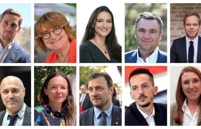 Edad, perfil, carrera: ¿quiénes son sus candidatos para las elecciones legislativas en Montpellier y los distritos circundantes?
