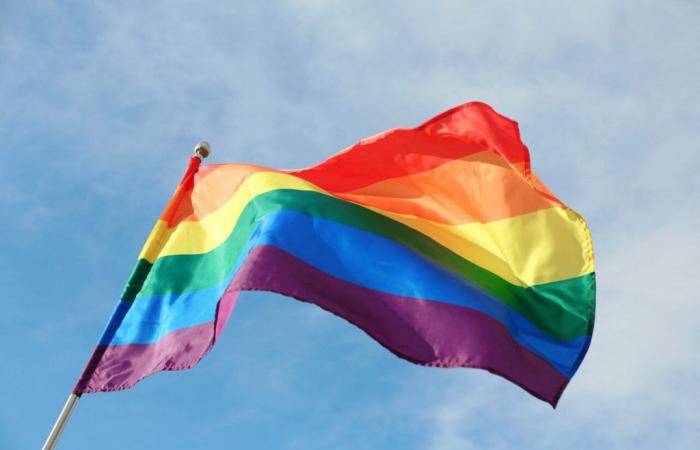Vaucluse: un símbolo de extrema derecha etiquetado en el poste LGBT de Aviñón