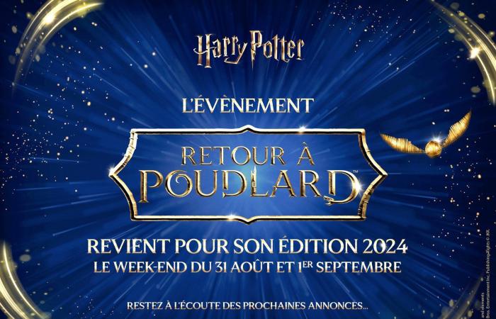 Regreso a Hogwarts: un gran evento mundial de Harry Potter invadirá Lyon este verano