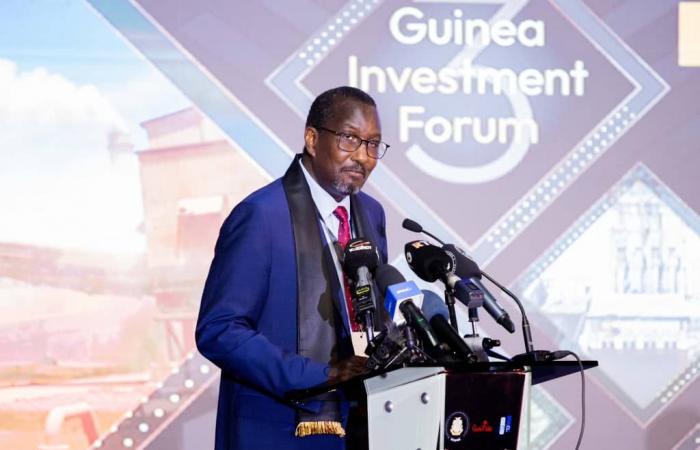 Guinea: el senegalés Issa Diaw lidera los programas unificados del Banco Mundial