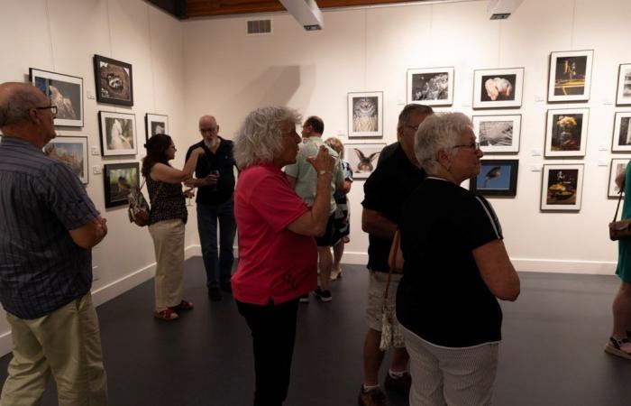 El Photo Club de Vaudreuil-Dorion expone sus mejores fotografías