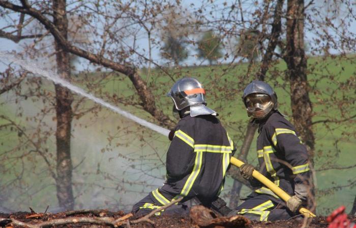Un gran incendio de vegetación en las afueras de Sigean, en Aude: 90 bomberos en el lugar