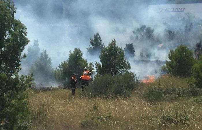 En Narbonés: el incendio de Sigean es “arreglado” y destruye 35 hectáreas, el RD6009 reabrió al tráfico