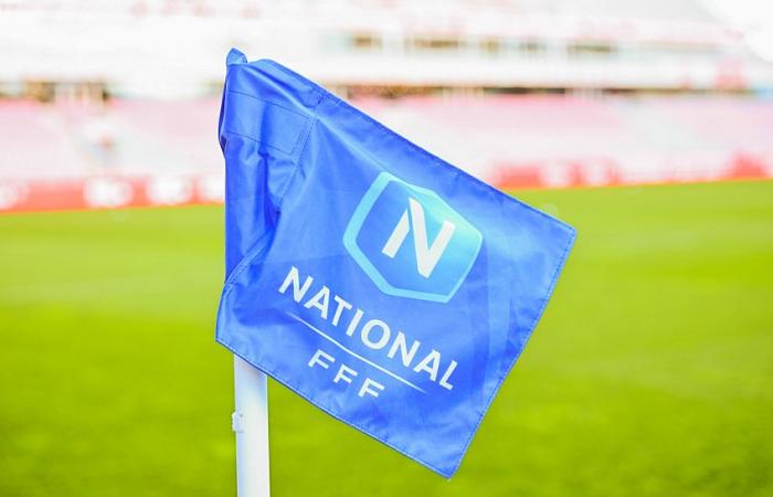 ¿Pronto una “Ligue 3” profesional para reemplazar a la Nacional?