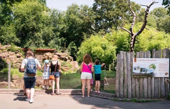 Temporada de verano 2024 en el Parque Zoológico y Botánico | m2a la revista