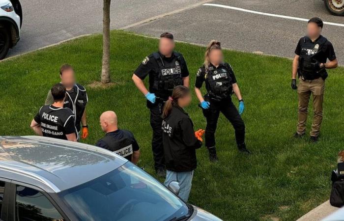 Dos personas arrestadas tras una importante incautación de cocaína en Quebec