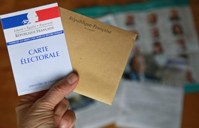 Elecciones legislativas 2024: Gilles Bourdouleix y France Moreau tiran la toalla