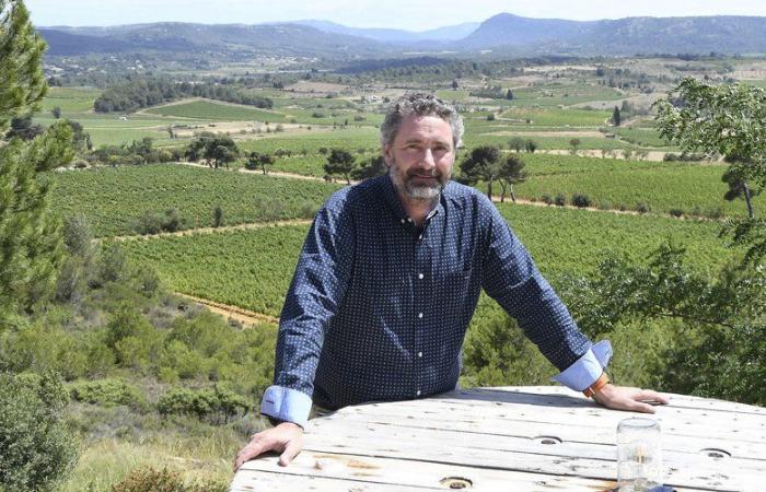 Pierre Bories asume la presidencia del Comité Interprofesional de los Vinos del Languedoc